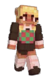 FakeRobin Minecraft avatar full body