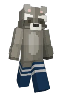 FalconNapkins Minecraft avatar full body