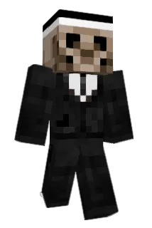 FalconWillz Minecraft avatar full body