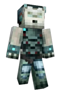 Falconia Minecraft avatar full body