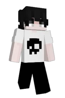 Falii25 Minecraft avatar full body