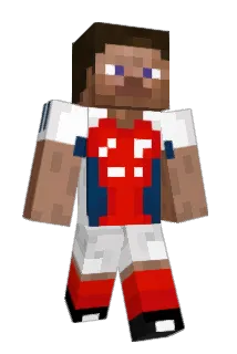 Falklander Minecraft avatar full body
