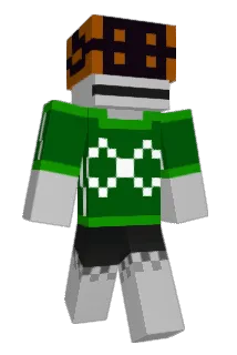 Falmil Minecraft avatar full body