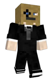FancyBagMan Minecraft avatar full body