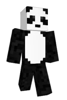 FancyDolphin614 Minecraft avatar full body