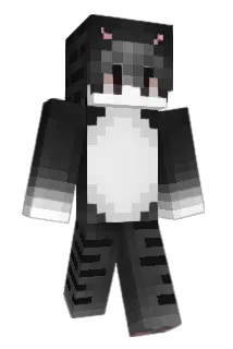 Fanjaa Minecraft avatar full body