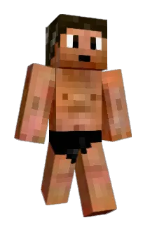 Fanseee Minecraft avatar full body