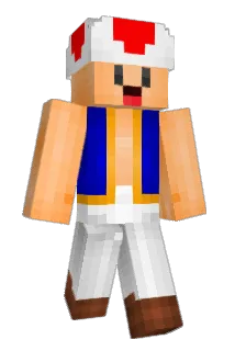 FantasticMsFox4 Minecraft avatar full body