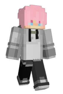 FanxyD Minecraft avatar full body