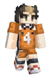 Fareanor Minecraft avatar full body