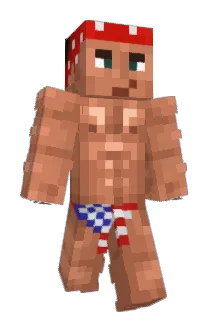 Farkiny Minecraft avatar full body