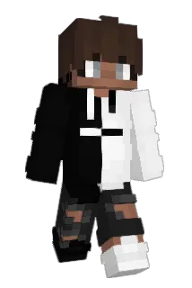 FarmtownTigers11 Minecraft avatar full body