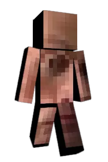 FashionTiger Minecraft avatar full body