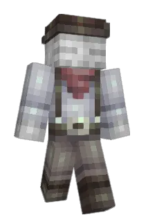 Fast15 Minecraft avatar full body