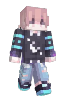FastLappenTv123 Minecraft avatar full body