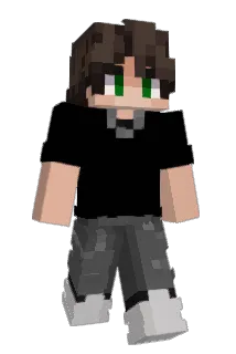 FastTomTom12 Minecraft avatar full body