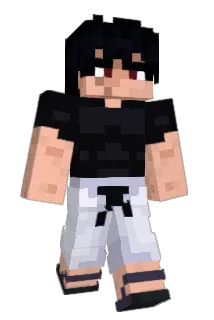 Fastana Minecraft avatar full body