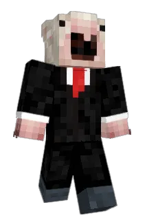 Fasu_pala Minecraft avatar full body