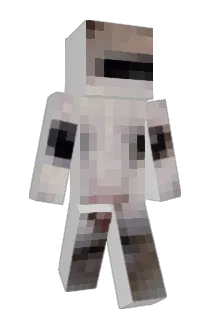 Fatcat20065 Minecraft avatar full body