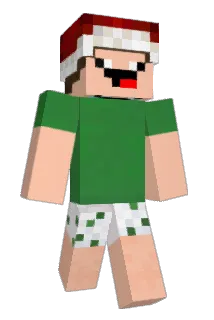 Fatta Minecraft avatar full body