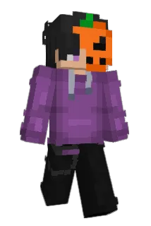 Fauchekatze Minecraft avatar full body