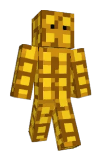 FcCHICAGoBULLS Minecraft avatar full body