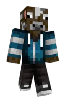FeBra2008 Minecraft avatar full body