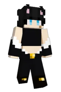 Fearlessleader1 Minecraft avatar full body