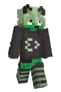FederalCone7941 Minecraft avatar full body