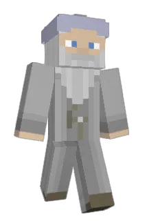FeeDong Minecraft avatar full body