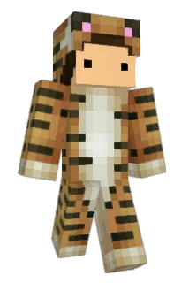 FeedTheAfricans Minecraft avatar full body