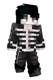 Fefe1805 Minecraft avatar full body