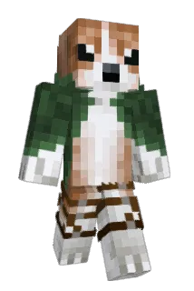 Fefo2572 Minecraft avatar full body