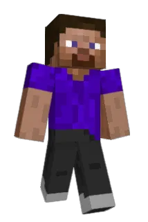 Feickii Minecraft avatar full body
