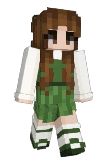 Feimin Minecraft avatar full body