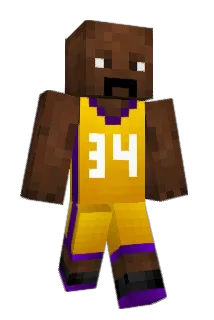 Feireezy Minecraft avatar full body