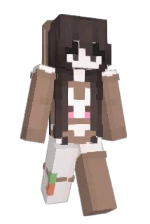 Feitii Minecraft avatar full body