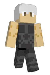 Fel73 Minecraft avatar full body