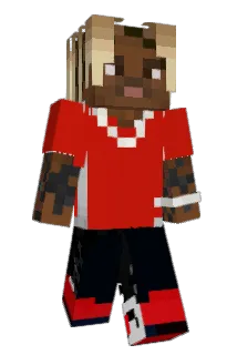 FenceHopper1 Minecraft avatar full body