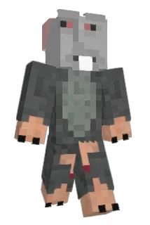 Fenix_ Minecraft avatar full body