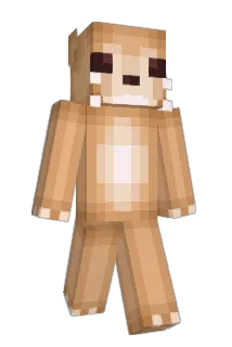 Fenixx24 Minecraft avatar full body