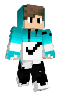 Ferdi313 Minecraft avatar full body