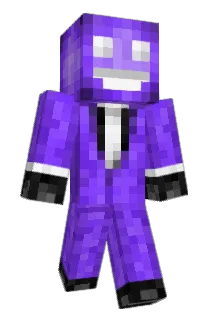 Ferm1 Minecraft avatar full body