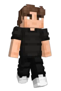 Fern1sonDev Minecraft avatar full body
