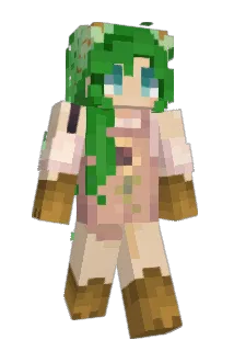 FernTSR Minecraft avatar full body