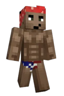 Feromann Minecraft avatar full body