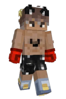 Ferrct Minecraft avatar full body