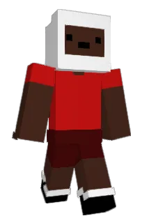 Ferrerooo Minecraft avatar full body