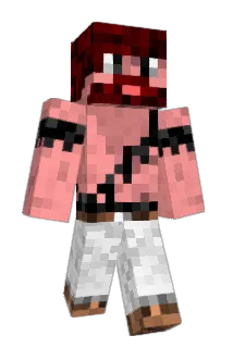 Ferry200 Minecraft avatar full body