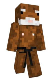 Festechi Minecraft avatar full body